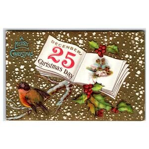 Vintage Embossed Christmas Postcard with Robin & December 25 Calendar
